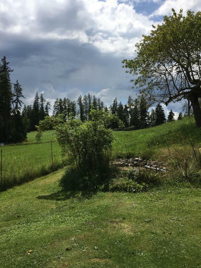 Haus Katrin Villa Sankt Marein bei Knittelfeld Luaran gambar